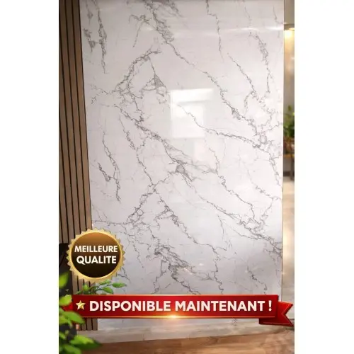 PANNEAUX PVC EFFET MARBRE